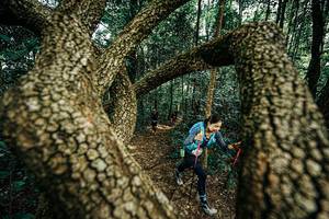 BIB: 
                            <button type="button" onclick="openModal(25394067)" class="btn btn-primary btn-sm float-right btn-popup" data-toggle="modal" data-target=".modal-high-quality">
                        <i class="fas fa-shopping-cart"></i> Add to Cart
                    </button>
                                            <button type="button" onclick="isThisMe(25394067, true)" class="btn btn-success btn-sm float-right btn-popup btn-isme hidden" data-toggle="tooltip" data-placement="bottom" title="นี่คือรูปของคุณใช่ไหม คลิกที่นี่เพื่อเอาเข้าอัลบั้ม">
                        <i class="fas fa-plus"></i> Add to album
                    </button>
                    <button type="button" onclick="isThisMe(25394067, false)" class="btn btn-warning btn-sm float-right btn-popup btn-isnotme hidden">
                        <i class="fas fa-ban"></i> Remove from album
                    </button>